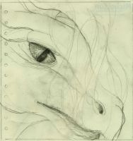 dragon 1